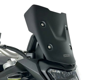 BMW F 900 GS [WRS] – Parabrisas