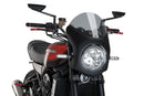 KAWASAKI Z 900 RS SE [2025] - Cúpula de carenado retro - Tintada-9