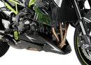 KAWASAKI Z 900 SE [2024] – Recambios - Protector motor – Negro-4