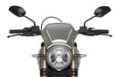 DUCATI SCRAMBLER 1100 DARK PRO [2025] - Placa frontal de ALU - negro-4