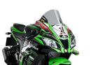 KAWASAKI ZX-10RR NINJA PERFORMANCE [2018] – Cúpula Z-Racing – Tintada-1