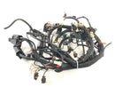 Aprilia RSV 1000 RR Factory [2009] - Arnés de cableado-1