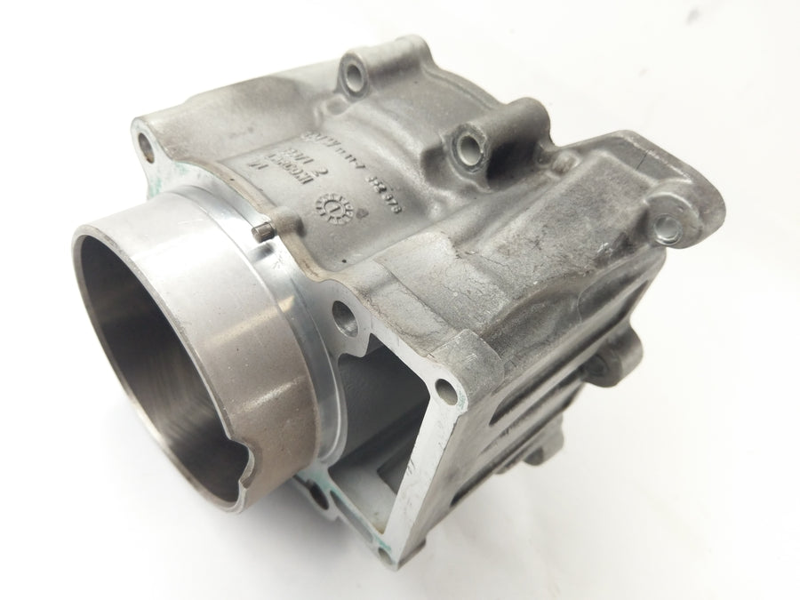 BMW F 650 GS R13 [2001] - Cilindro con pistones