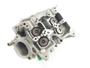Aprilia RSV 1000 Tuono RP [2005] - Cilindro Head-5