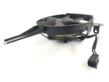 Yamaha YZF R6 RJ03 [2000] - Fan Fan Fan - 0