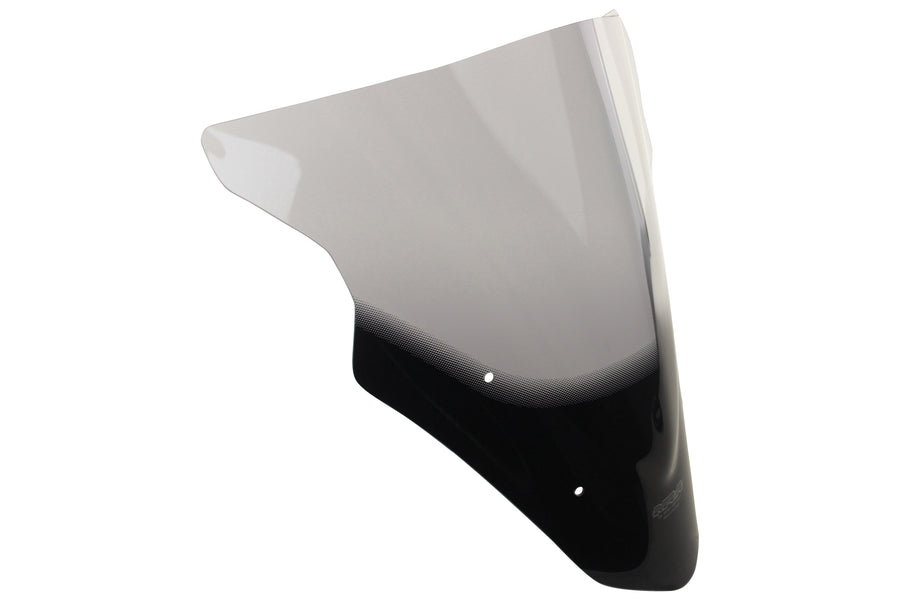 Kawasaki er 6 f [2012-]-Disc de carreras "R"