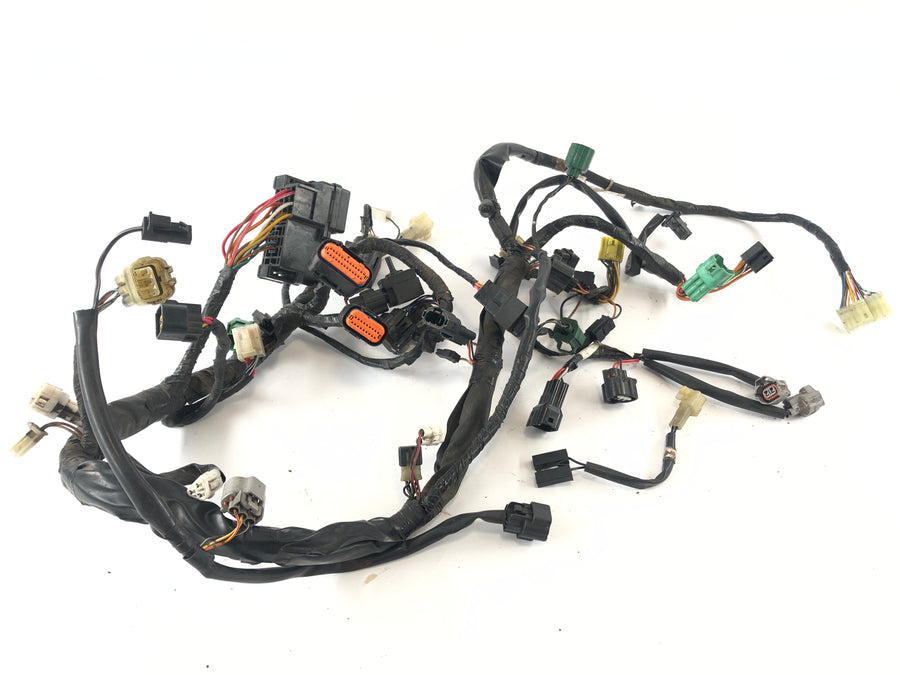 Suzuki DL 1000 V -strom [2006] - Arnés de cableado
