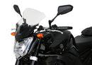Yamaha FZ1 [2006-]-Disc de carreras "NRM"-8