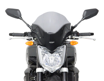 Yamaha FZ1 [2006-]-Disco de gira "NTM"
