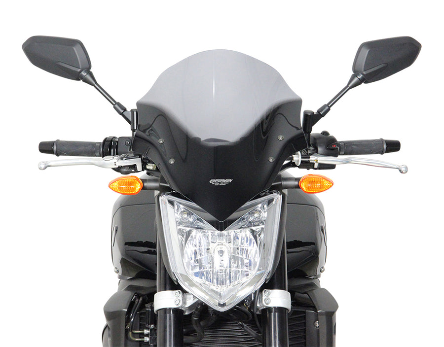 Yamaha FZ1 [2006-]-Disco de gira "NTM"