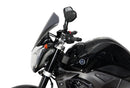 Yamaha FZ1 [2006-]-Disco de gira "NTM"-3