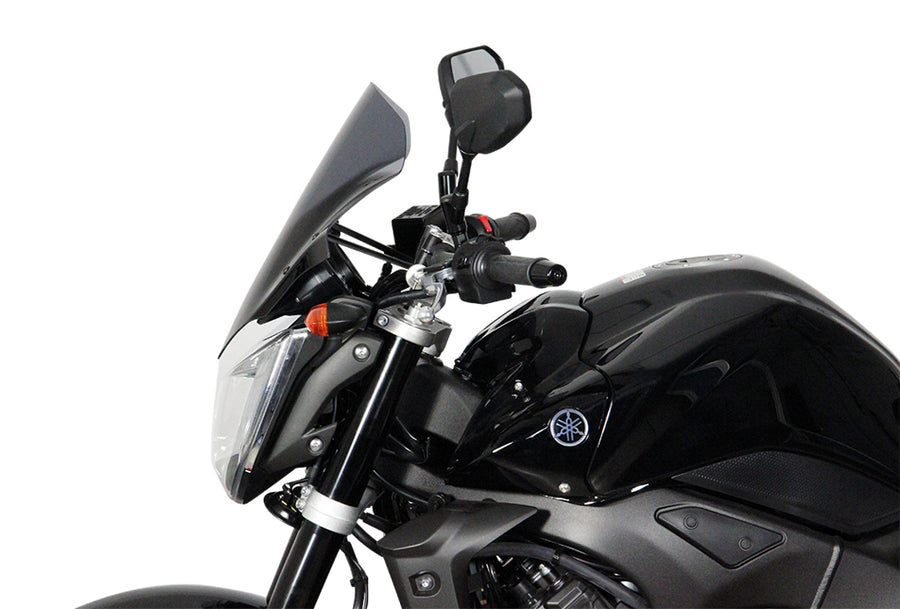 Yamaha FZ1 [2006-]-Disco de gira "NTM"