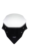 Yamaha FZ1 [2006-]-Disco de gira "NTM"-5