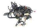 Can en el Spyder SM5 [2009] - Arnés de cableado-1