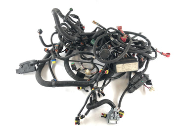 Can en el Spyder SM5 [2009] - Arnés de cableado