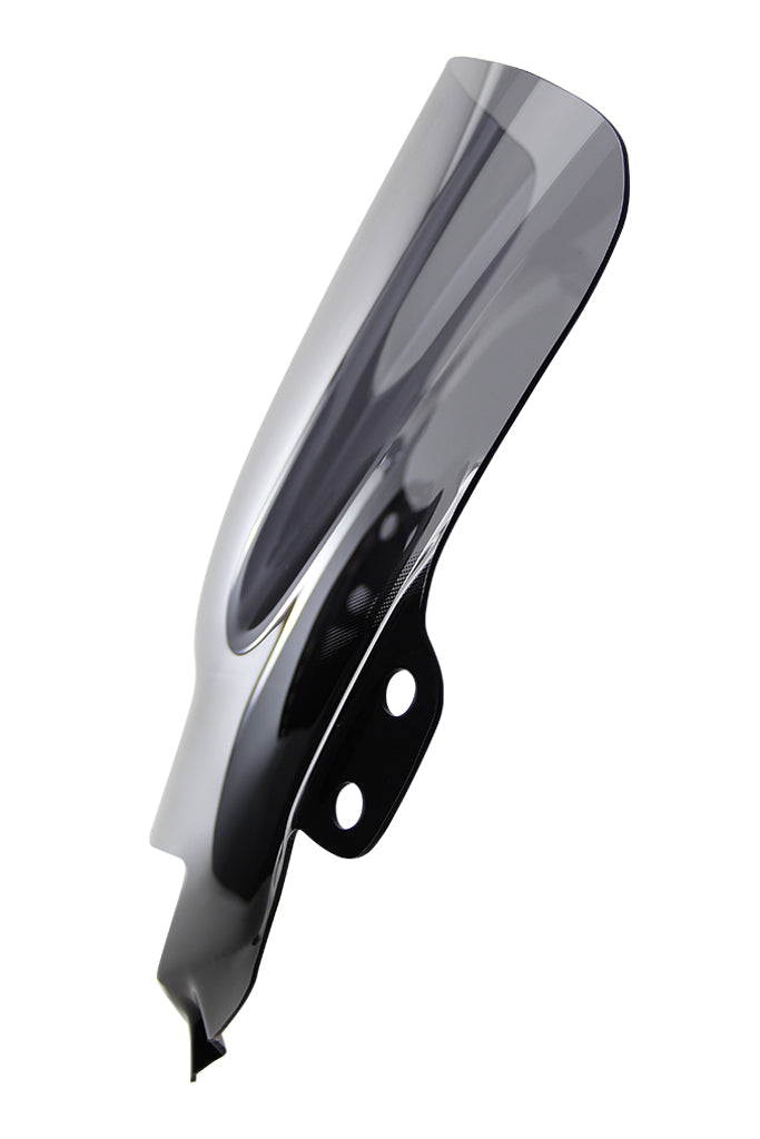 Suzuki GSF 650 S [2009-]-Disc de carreras "R"