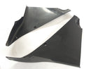Kawasaki ZX -12R ZXT20A [2004] - revestimiento interior en el revestimiento delantero izquierdo y derecho-1