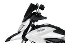 Ducati Hyperstrada 821/939 [2013-]-Disc de carreras "R"-10