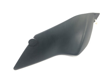 BMW R 1150 R R21 [2001] - Panel lateral derecho