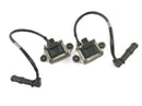 Moto Guzzi Stelvio 1200 NTX LZ [2013] - Zündspule Paar Zündeinheit Zündmodul