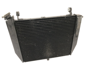 Yamaha YZF R1 RN09 [2002] - Radiador Enfriador de agua Sistema de refrigeración Radiador
