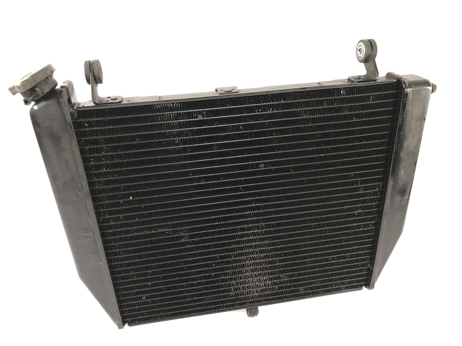 Yamaha YZF R1 RN09 [2002] - Radiador Enfriador de agua Sistema de refrigeración Radiador