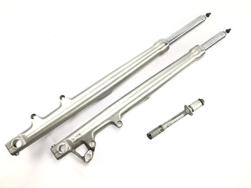BMW R 1200 C 259C [1998] - Horquilla Telelever delantera con eje