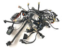 Ducati Multistrada 1000 DS [2003] - Arnés de cableado Árbol de cable principal-1