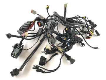 Ducati Multistrada 1000 DS [2003] - Arnés de cableado Árbol de cable principal