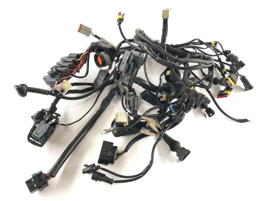 Ducati Multistrada 1000 DS [2003] - Arnés de cableado Árbol de cable principal