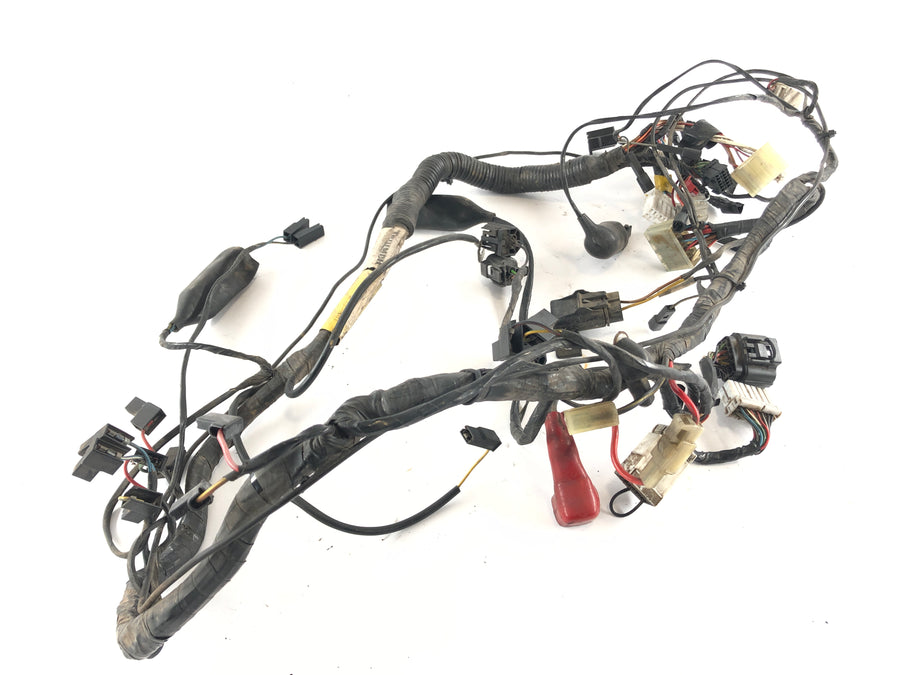 Triumph Thunderbird 900 RT T309 [1997] - Arnés de cableado