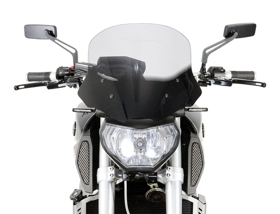 Yamaha MT-09 / FZ-09 [2014-2016] -Engente del disco "NTM"