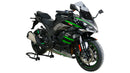 Kawasaki Ninja 1000 SX [2020-]-Disc de carreras "R"-4