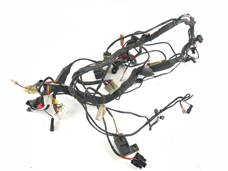 Triumph Thunderbird 900 RT T309 [1997] - Arnés de cableado