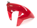 Ducati 999 H4 [2003] - Fender en el frente-2