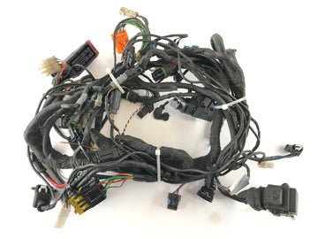 BMW F 650 CS Scarver [2001] - Arnés de cableado
