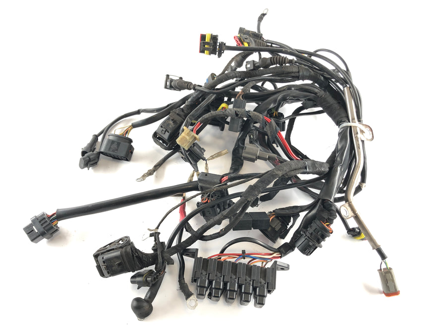Ducati Multistrada 1000 DS [2003] - Arnés de cableado Árbol de cable principal