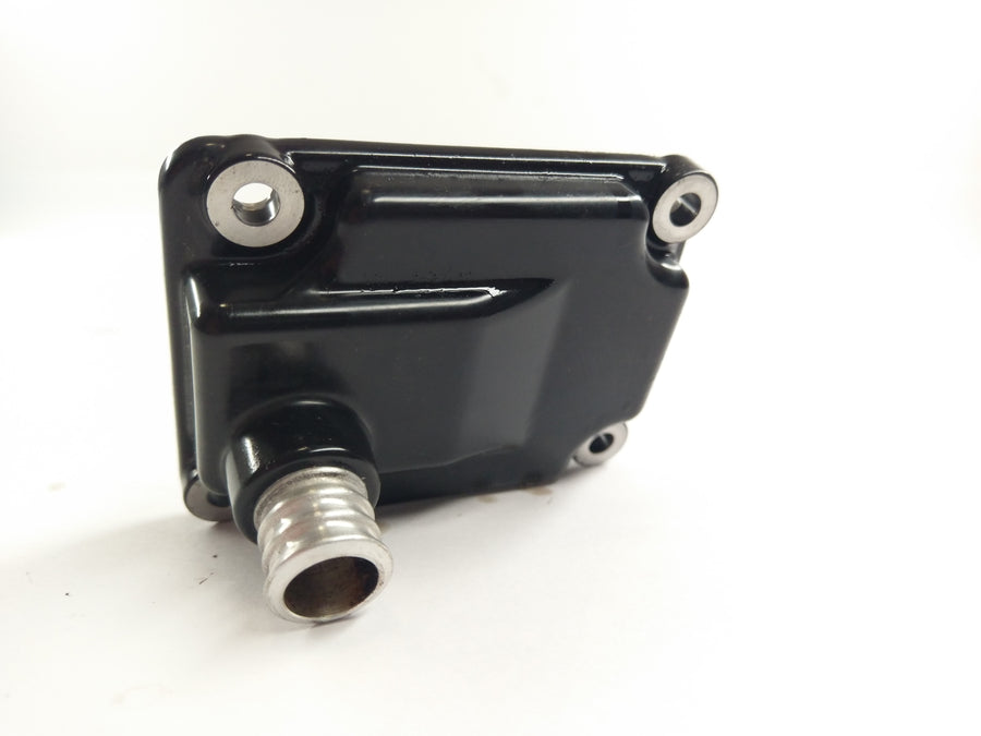 BMW K 1200 R [2010] - Tapa del motor a la izquierda