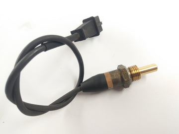 BMW R 1150 R R21 [2001] - Sensor de temperatura Sensor