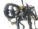 KTM Duke 690 A3 [2012] - Arnés de cableado-5