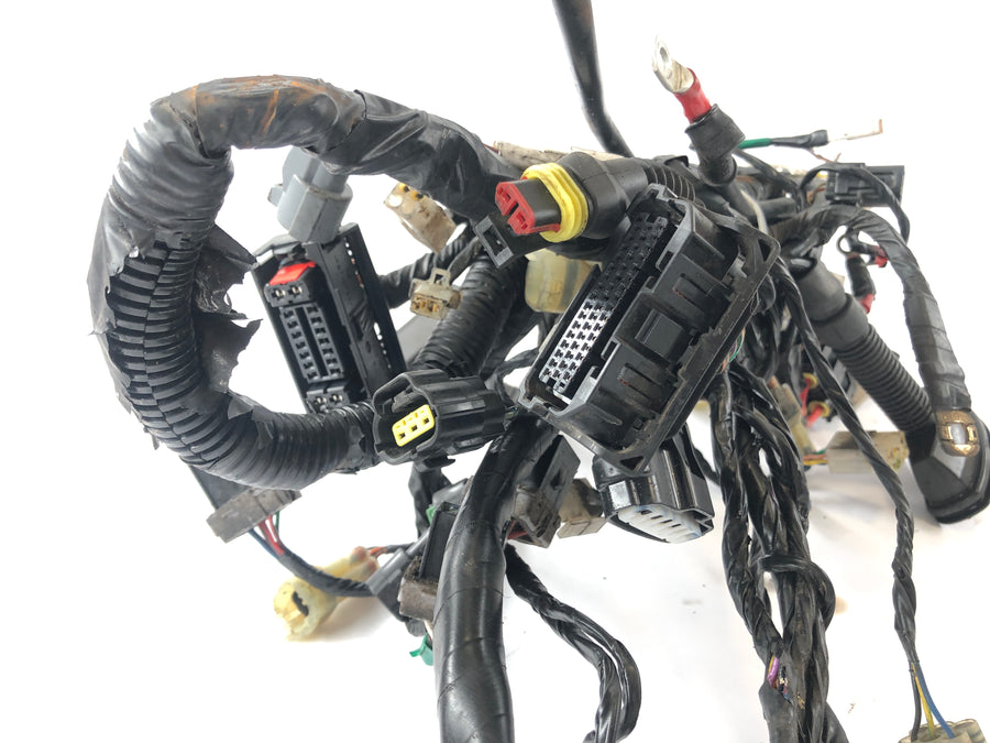 KTM Duke 690 A3 [2012] - Arnés de cableado