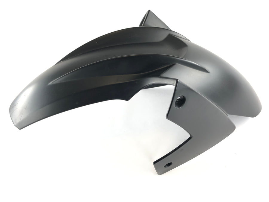 BMW F 800 S [2007] - guardabarros delanteros de Fender