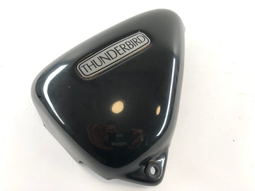 Triumph Thunderbird 900 RT T309 [1997] - Serneckel se fue