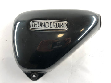 Triumph Thunderbird 900 RT T309 [1997] - Serneckel se fue - 0
