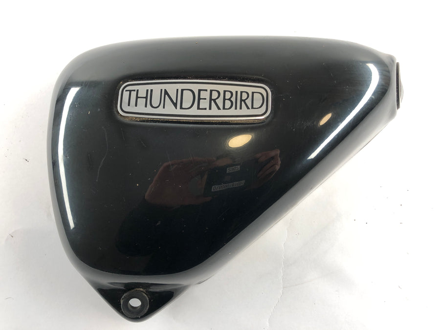 Triumph Thunderbird 900 RT T309 [1997] - Serneckel se fue