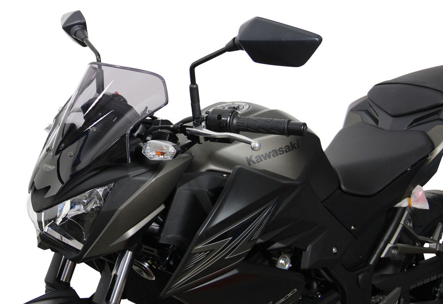 Kawasaki Z250 13- / Z300 15- [2013-]- Disc de carreras "R"