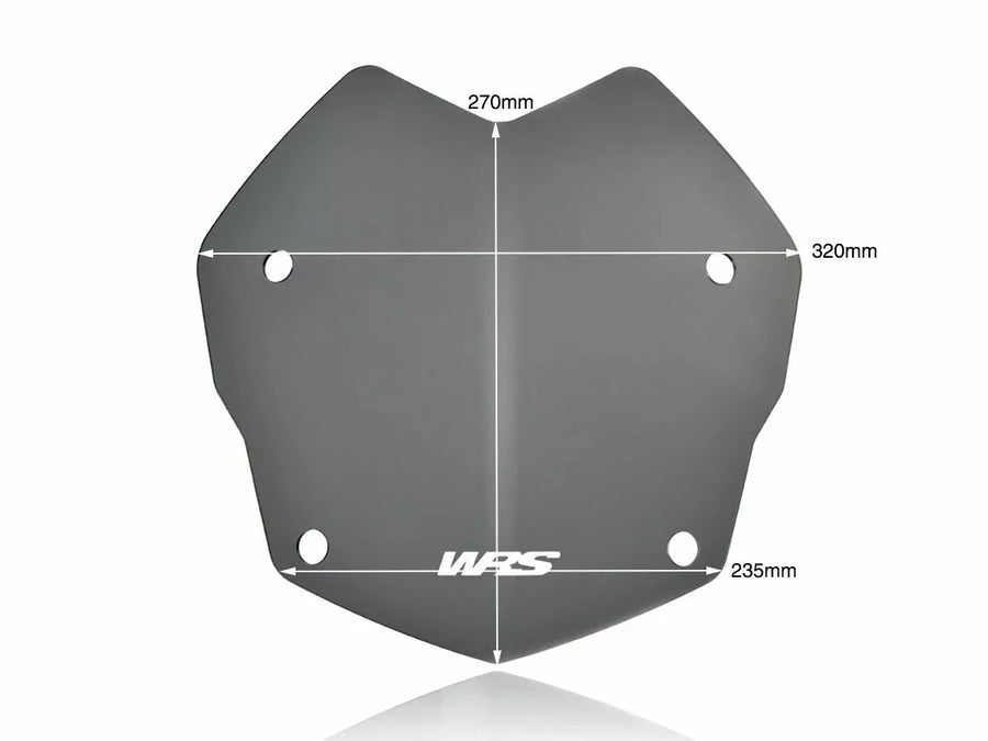 BMW R 1200 R [WRS] - parabrisas