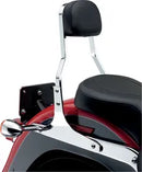 Harley Davidson Flstf [COBRA] – Respaldo cuadrado