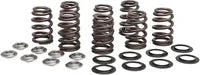Harley-Davidson FLRT 1868 Freewheeler 114 [2021, 2023-2024] - Titanium Ventilfederhalter-Kit – Bild 8
