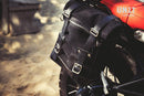 BMW R nineT 1200 Racer [2017-2020] - 22L-30L Scram Satteltasche aus Spaltleder + Rahmen der Serie